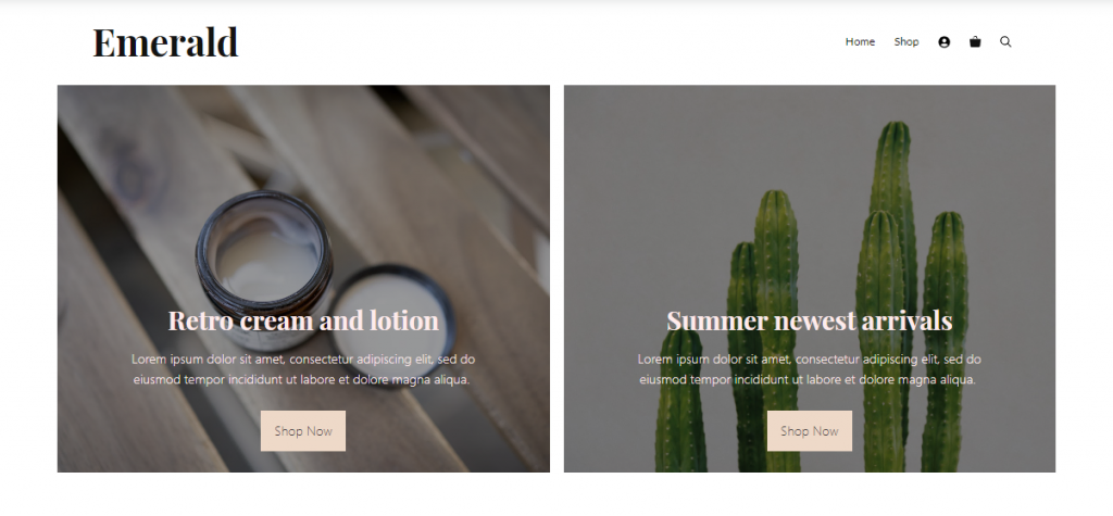 Generate Press Thème WordPress d'e-commerce