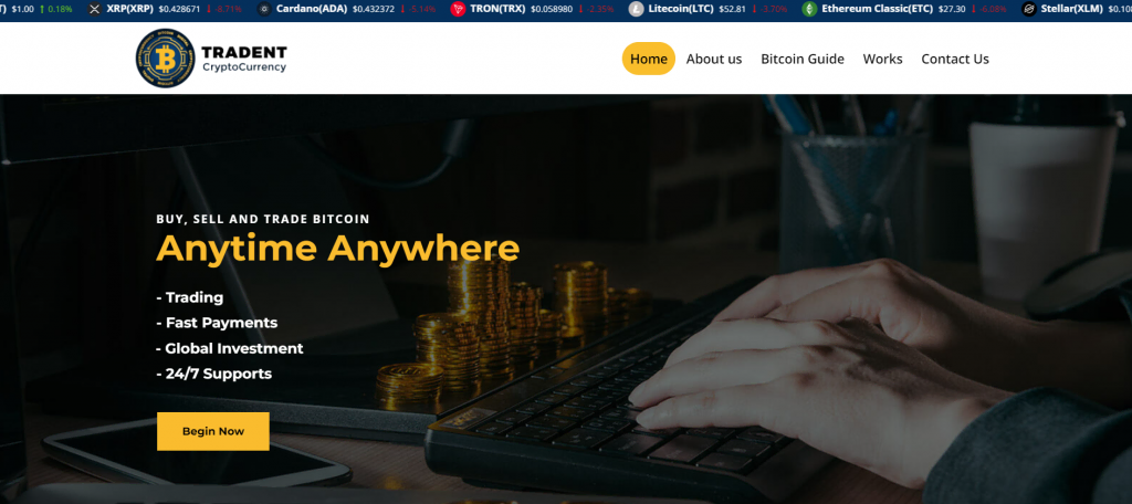 themes-crypto-wordpress La page de prévisualisation de Tradent, un thème WordPress.
