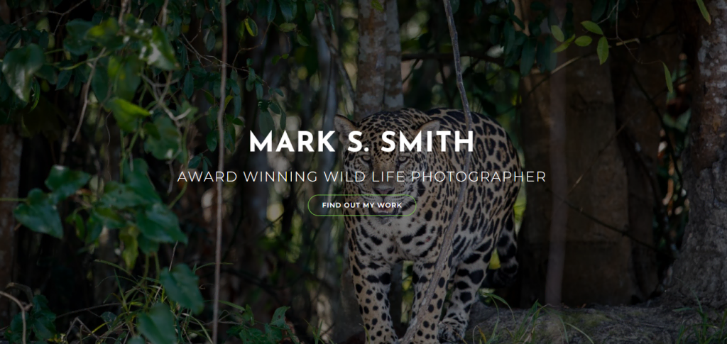 thème-wordpress-photographe OceanWP, un thème WordPress de photographe