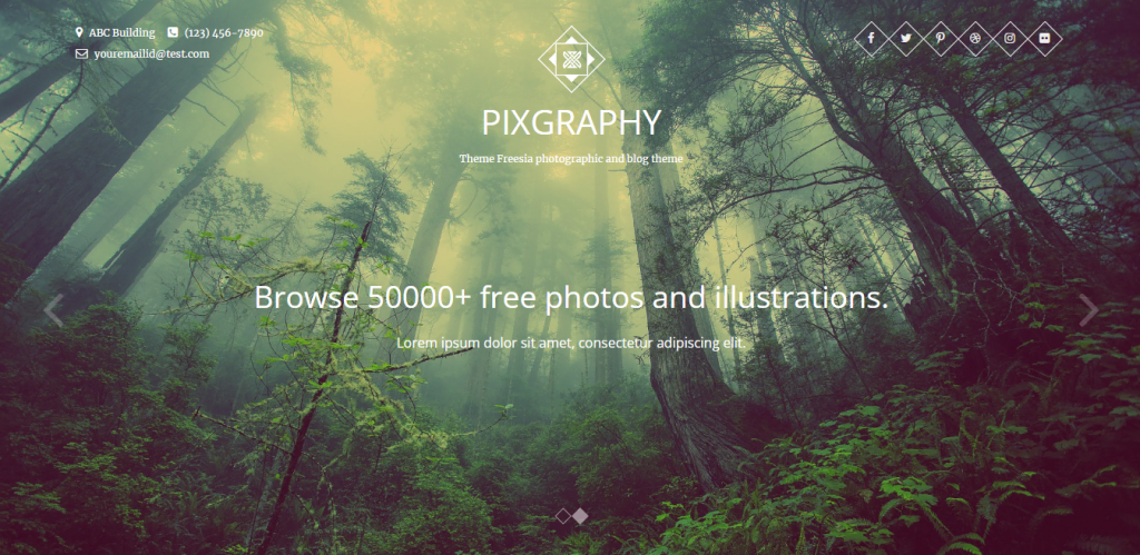 theme-wordpress-photographe Thème WordPress Pixgraphy pour photographe